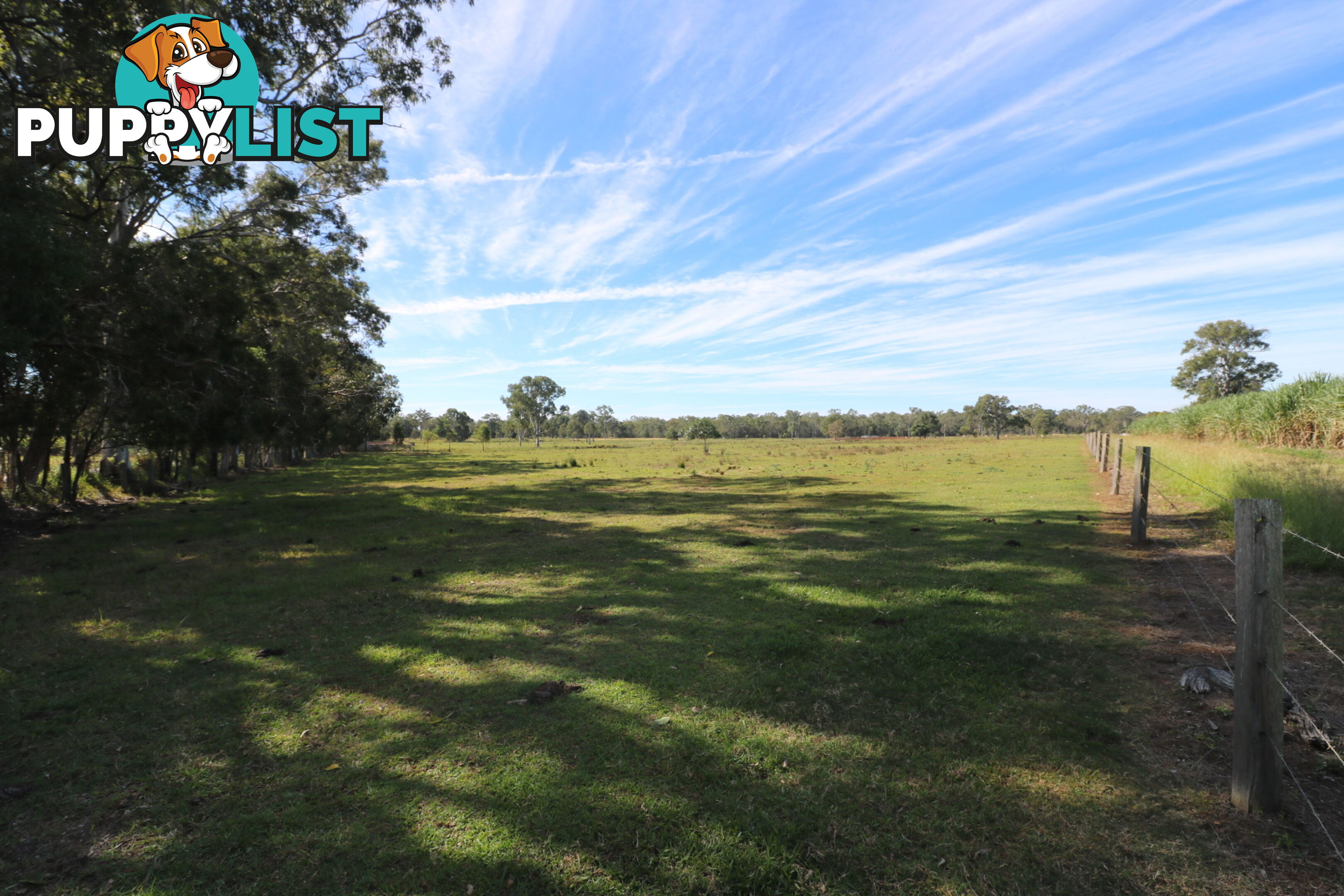 156 Conlons Rd Horton QLD 4660