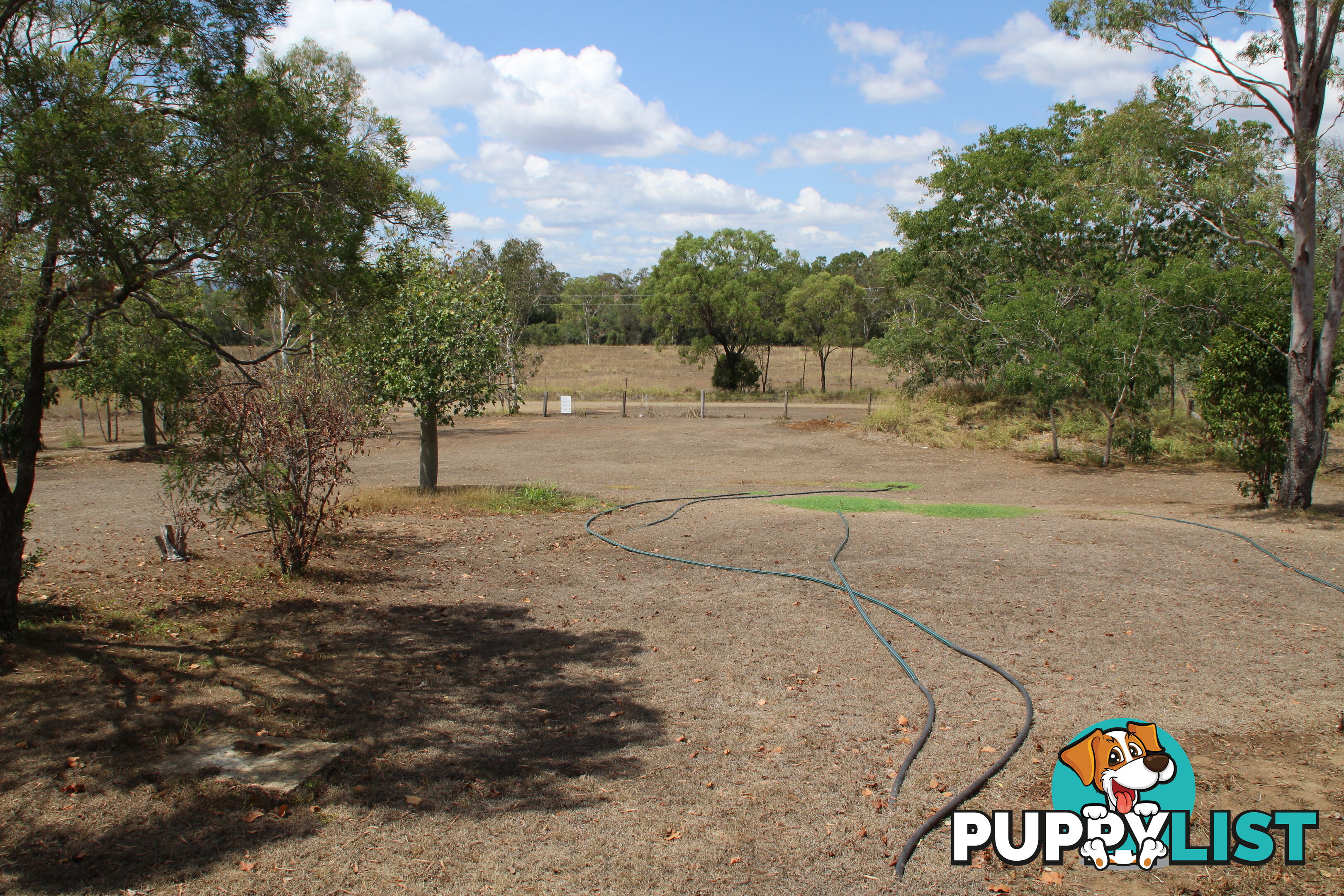 385 Curtis Russell Rd Coringa QLD 4621