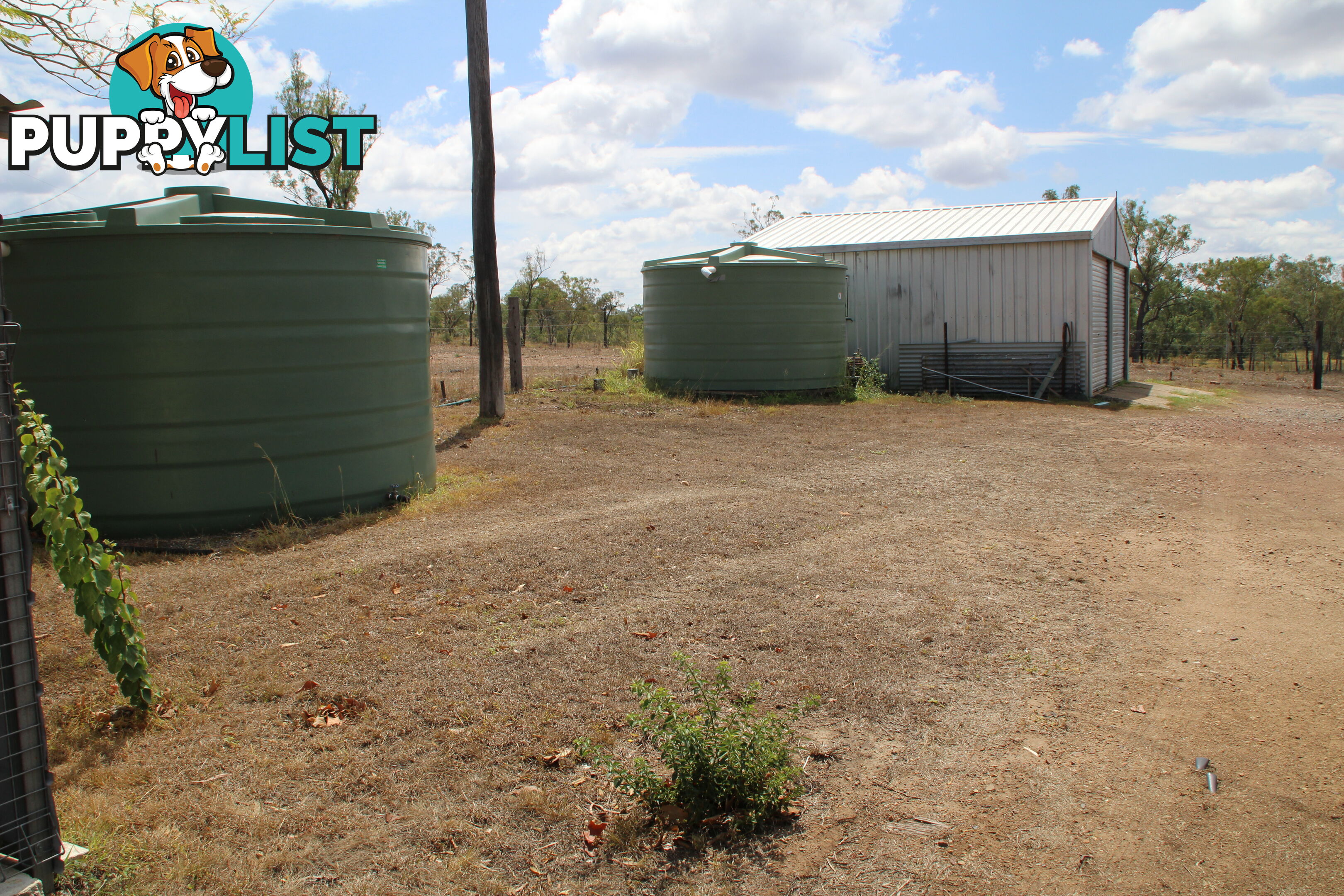 385 Curtis Russell Rd Coringa QLD 4621