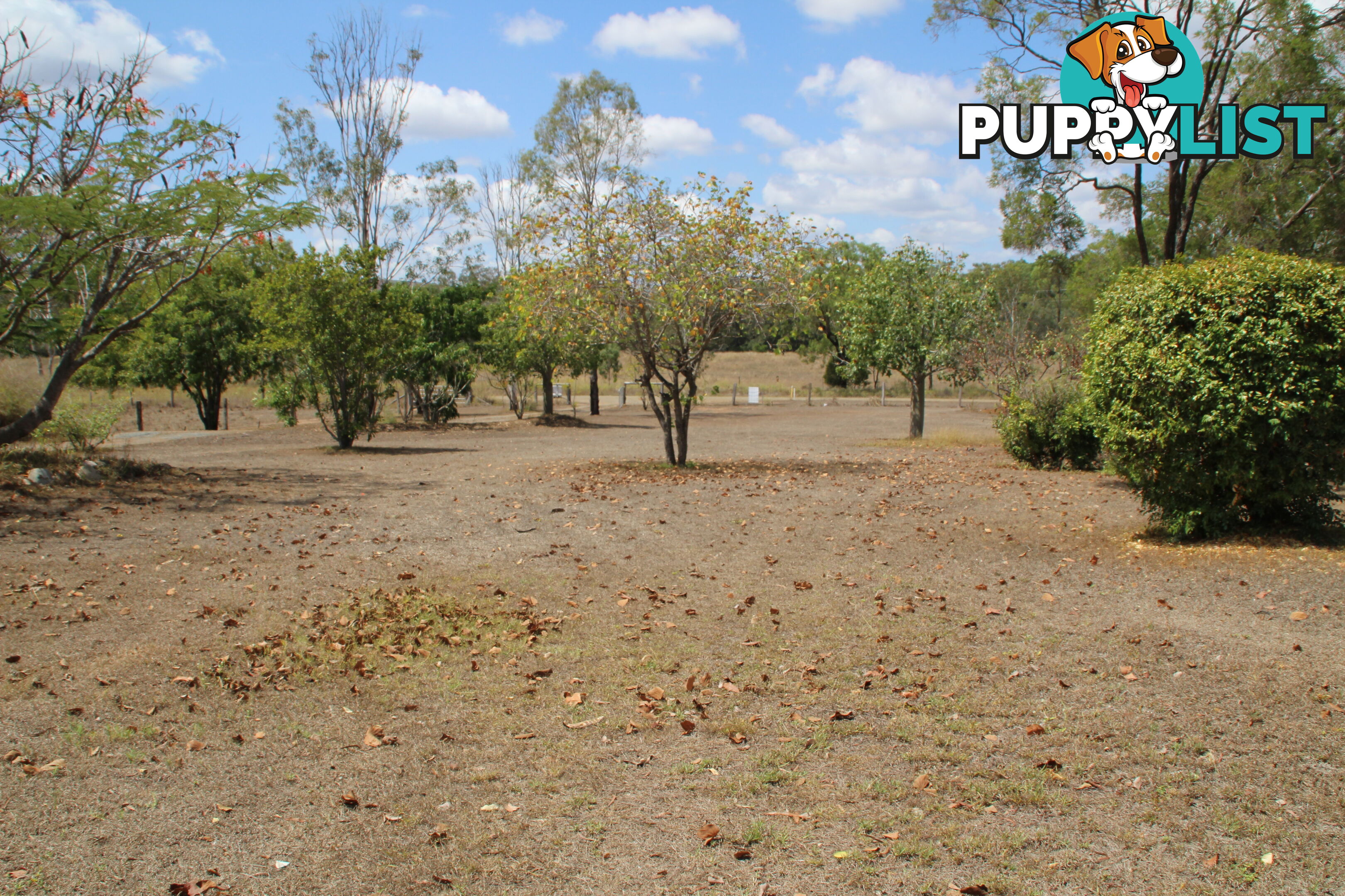 385 Curtis Russell Rd Coringa QLD 4621