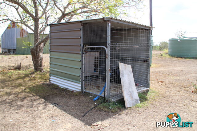 385 Curtis Russell Rd Coringa QLD 4621