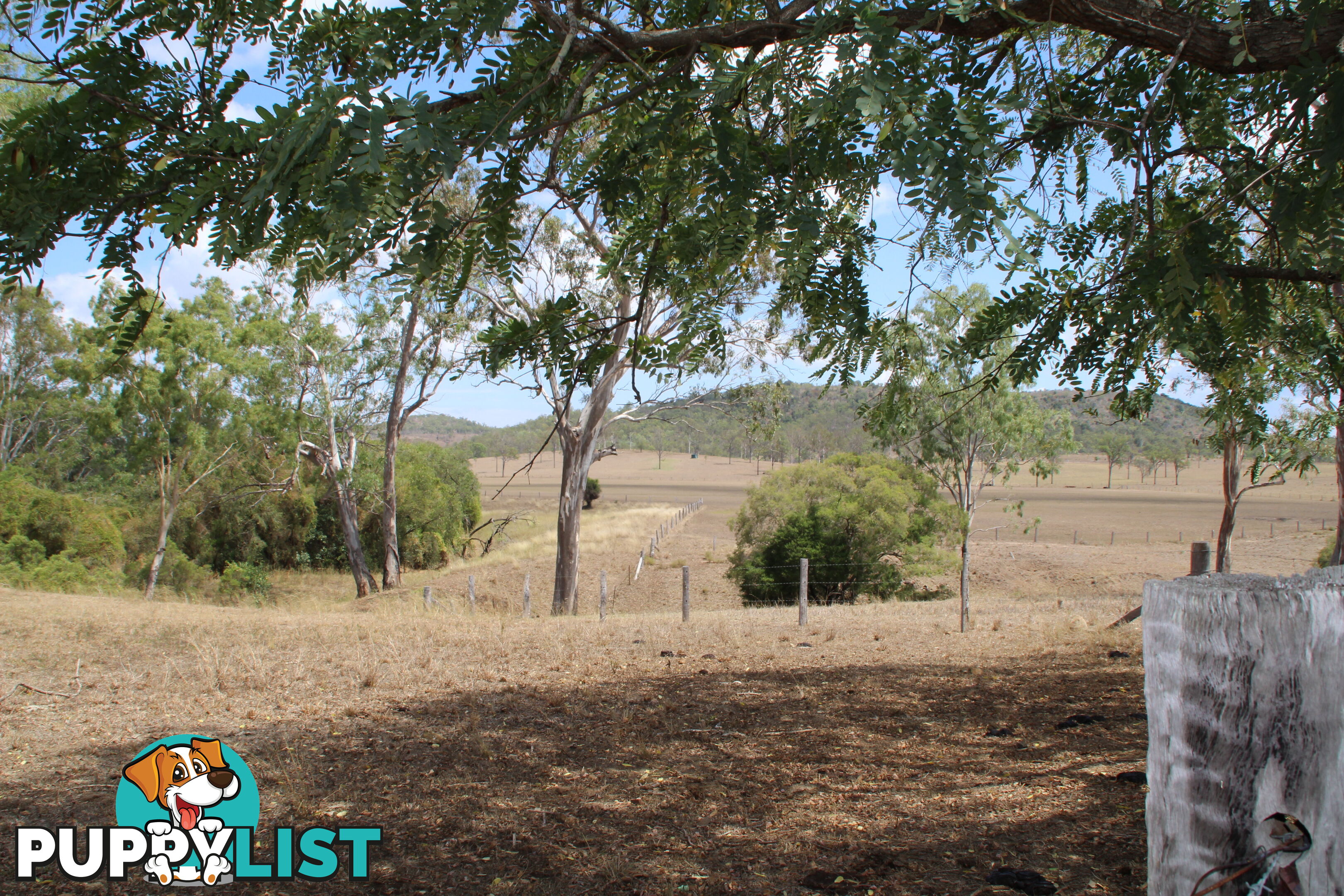 385 Curtis Russell Rd Coringa QLD 4621