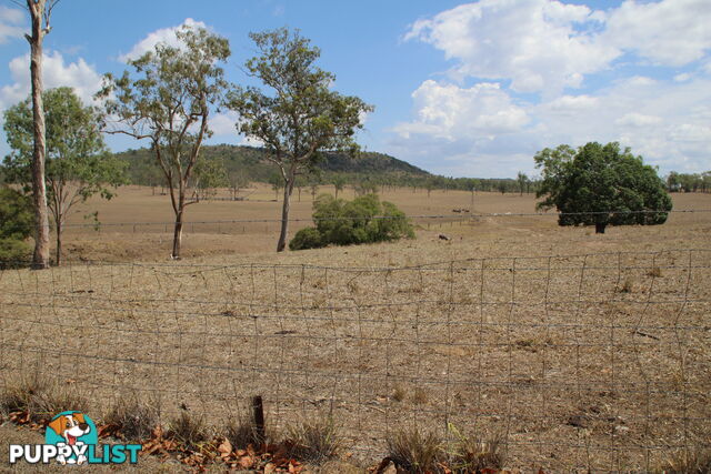 385 Curtis Russell Rd Coringa QLD 4621