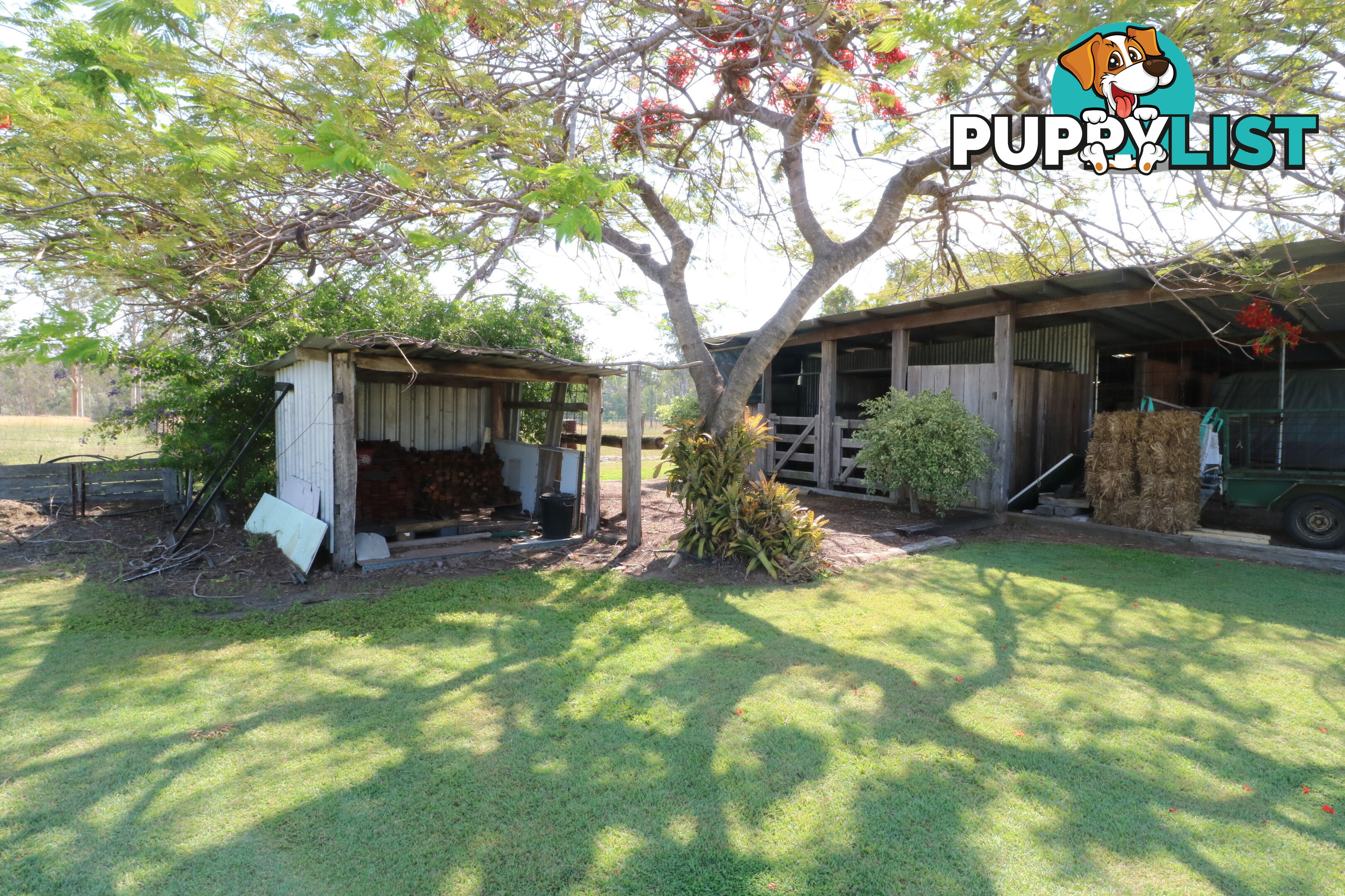 1983 Bucca Rd Bucca QLD 4670