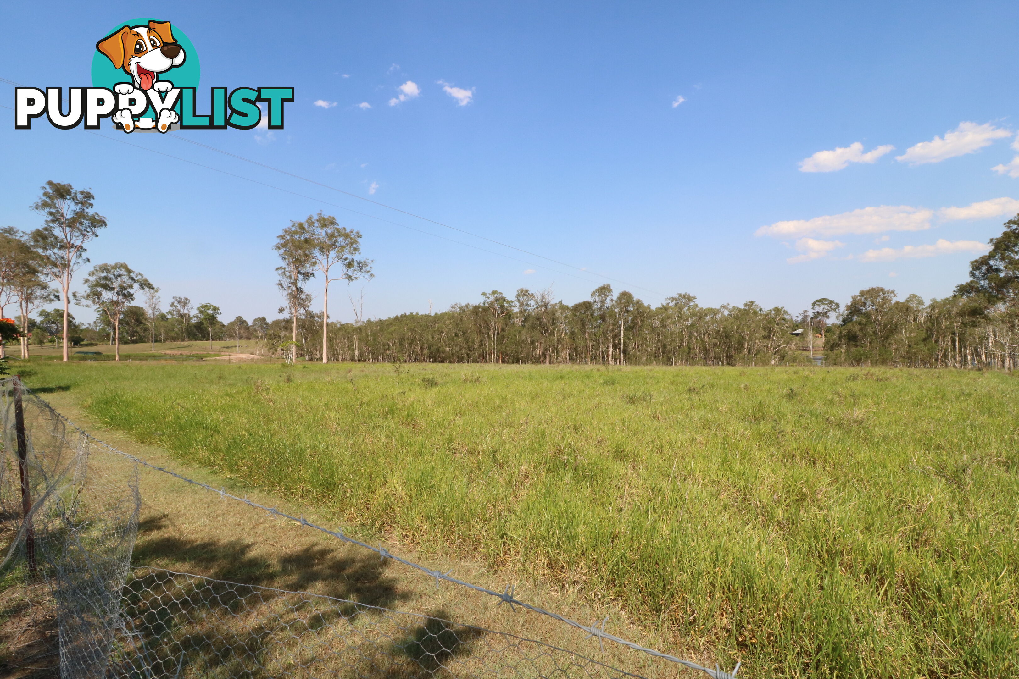 1983 Bucca Rd Bucca QLD 4670