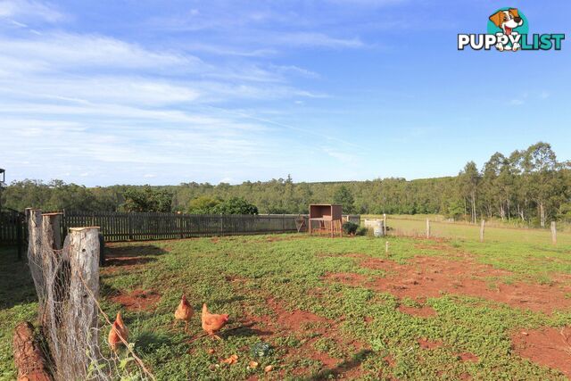 299 Hodges Road Cordalba QLD 4660