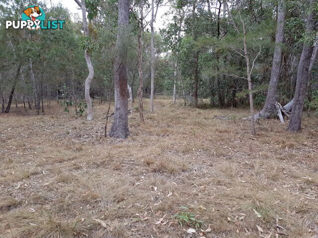 149 Blacks Rd Isis River QLD 4660