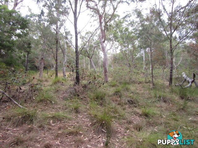 149 Blacks Rd Isis River QLD 4660