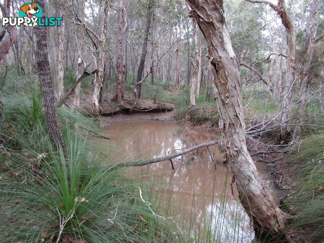 149 Blacks Rd Isis River QLD 4660