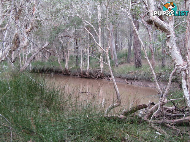 149 Blacks Rd Isis River QLD 4660