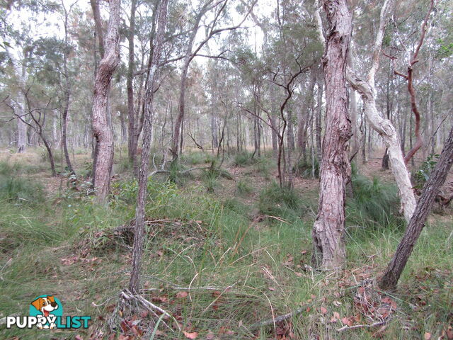 149 Blacks Rd Isis River QLD 4660