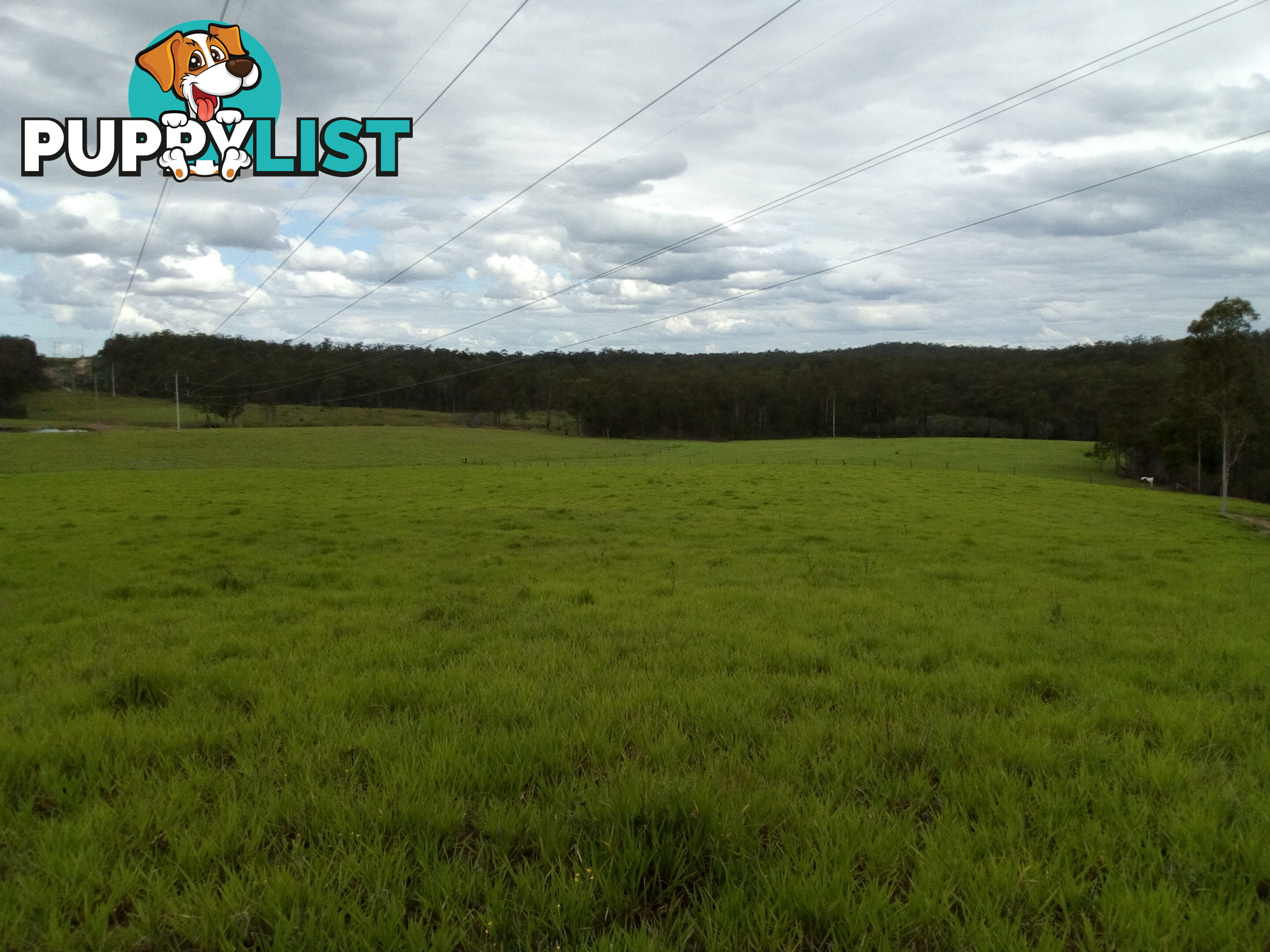 280 Mcleods Rd Bullyard QLD 4671