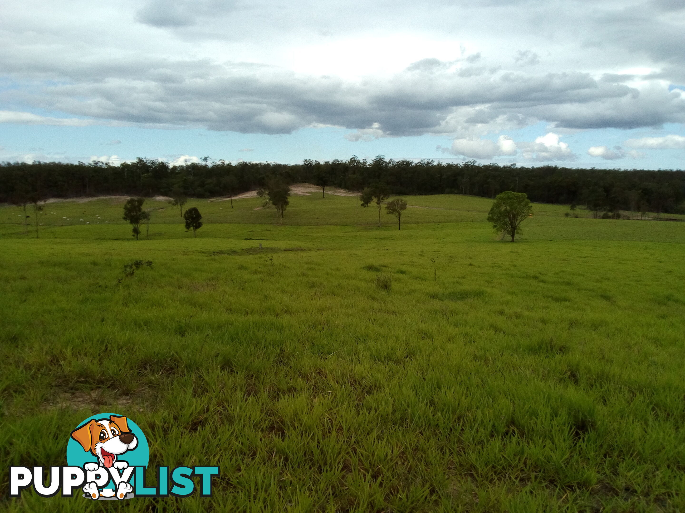 280 Mcleods Rd Bullyard QLD 4671