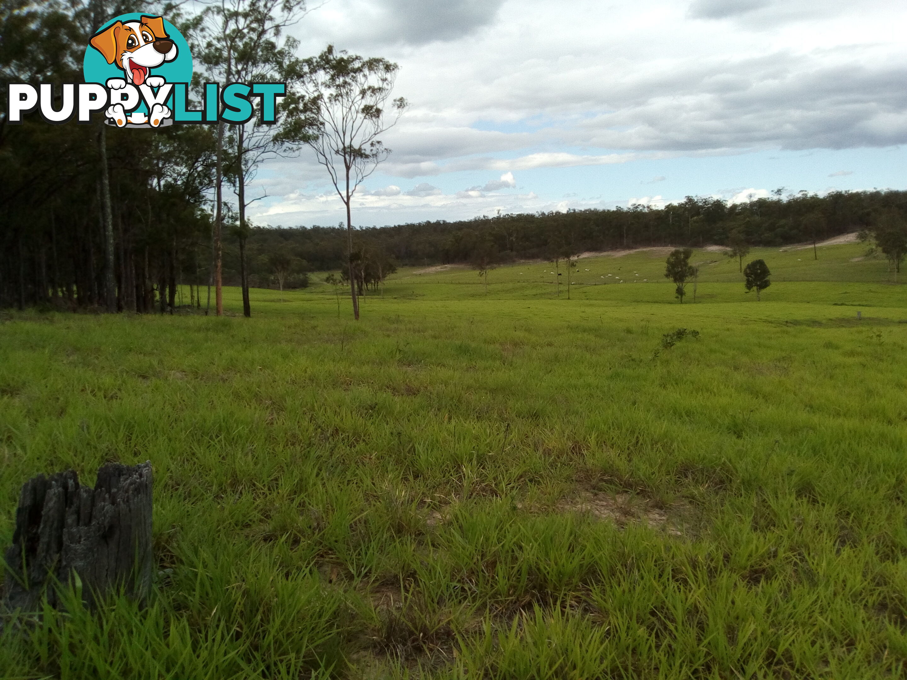 280 Mcleods Rd Bullyard QLD 4671