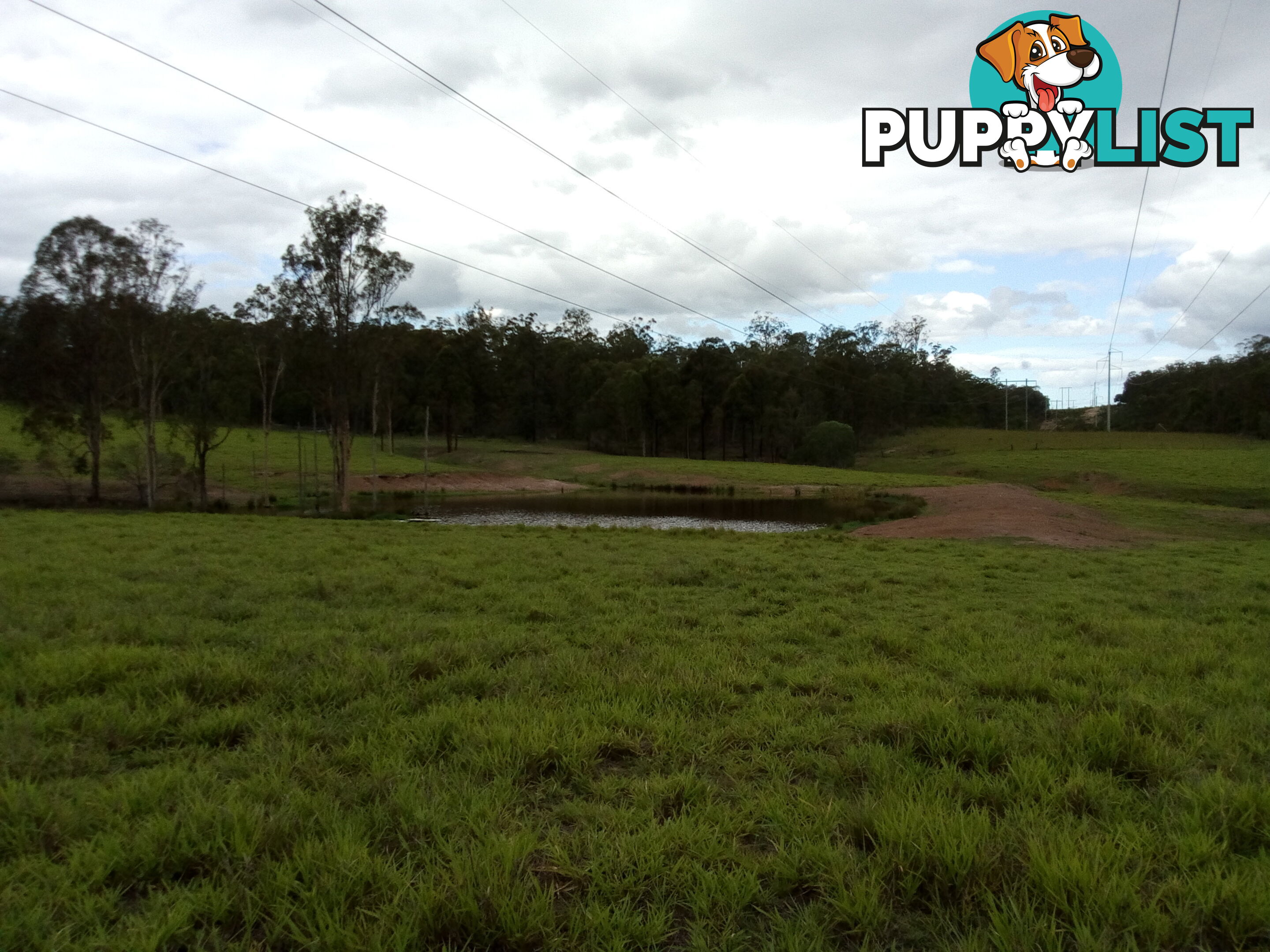 280 Mcleods Rd Bullyard QLD 4671