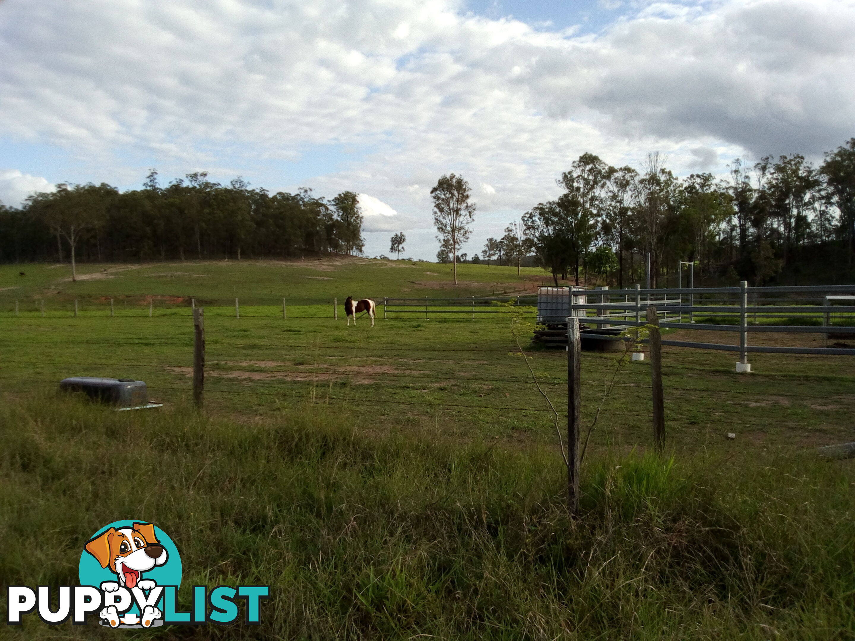 280 Mcleods Rd Bullyard QLD 4671