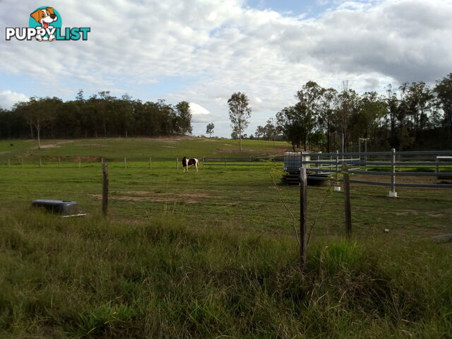 280 Mcleods Rd Bullyard QLD 4671