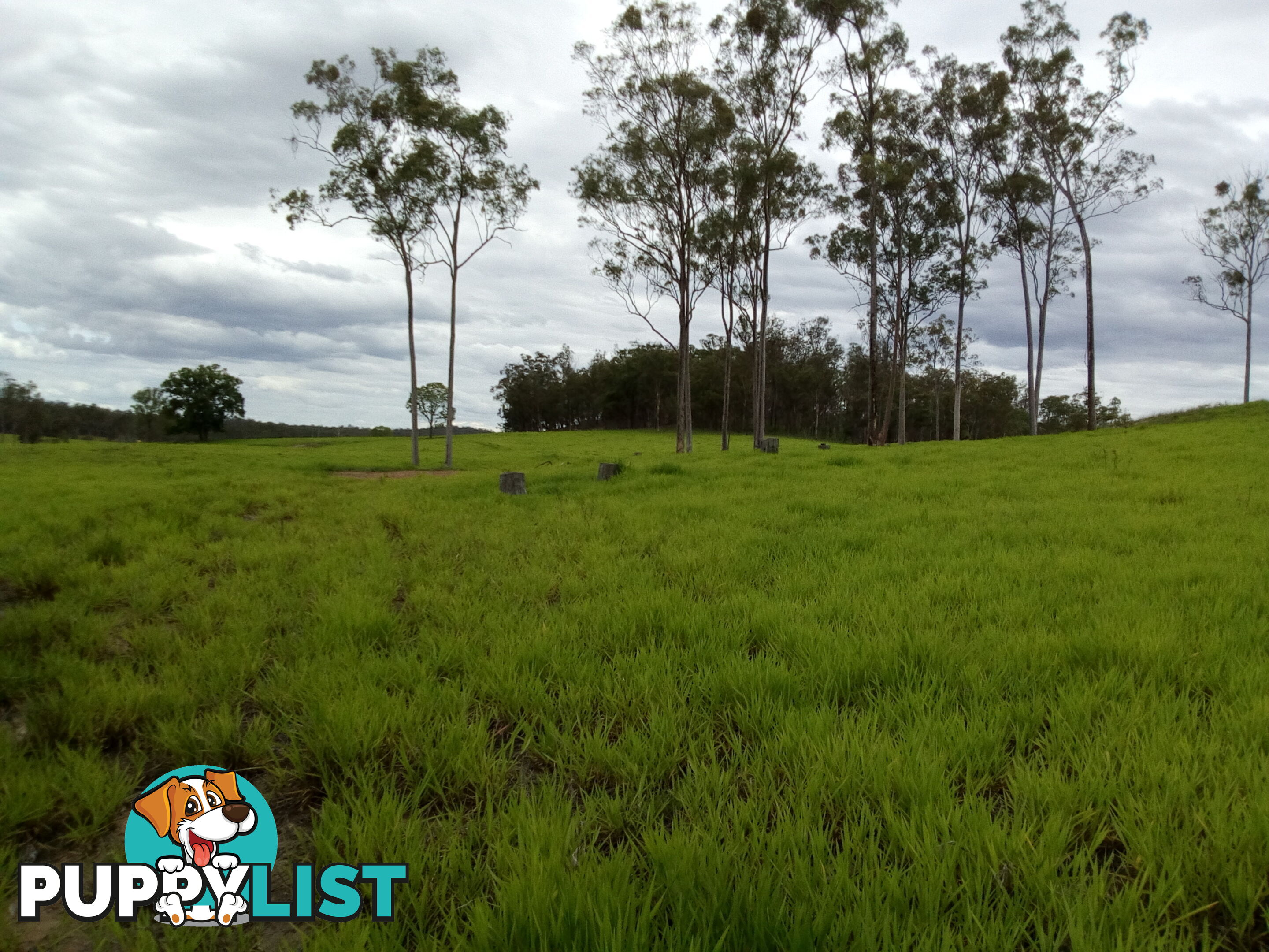 280 Mcleods Rd Bullyard QLD 4671