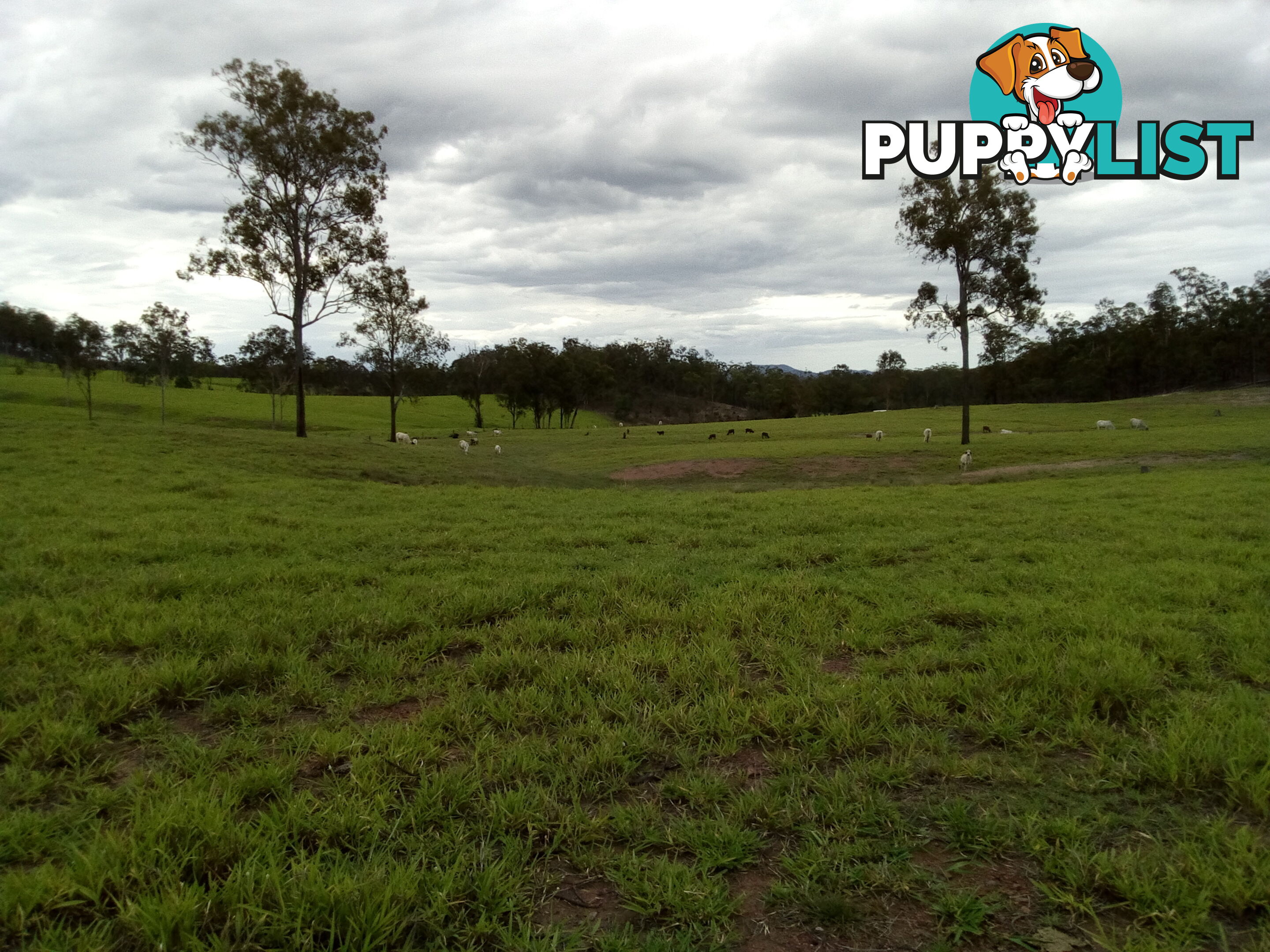 280 Mcleods Rd Bullyard QLD 4671