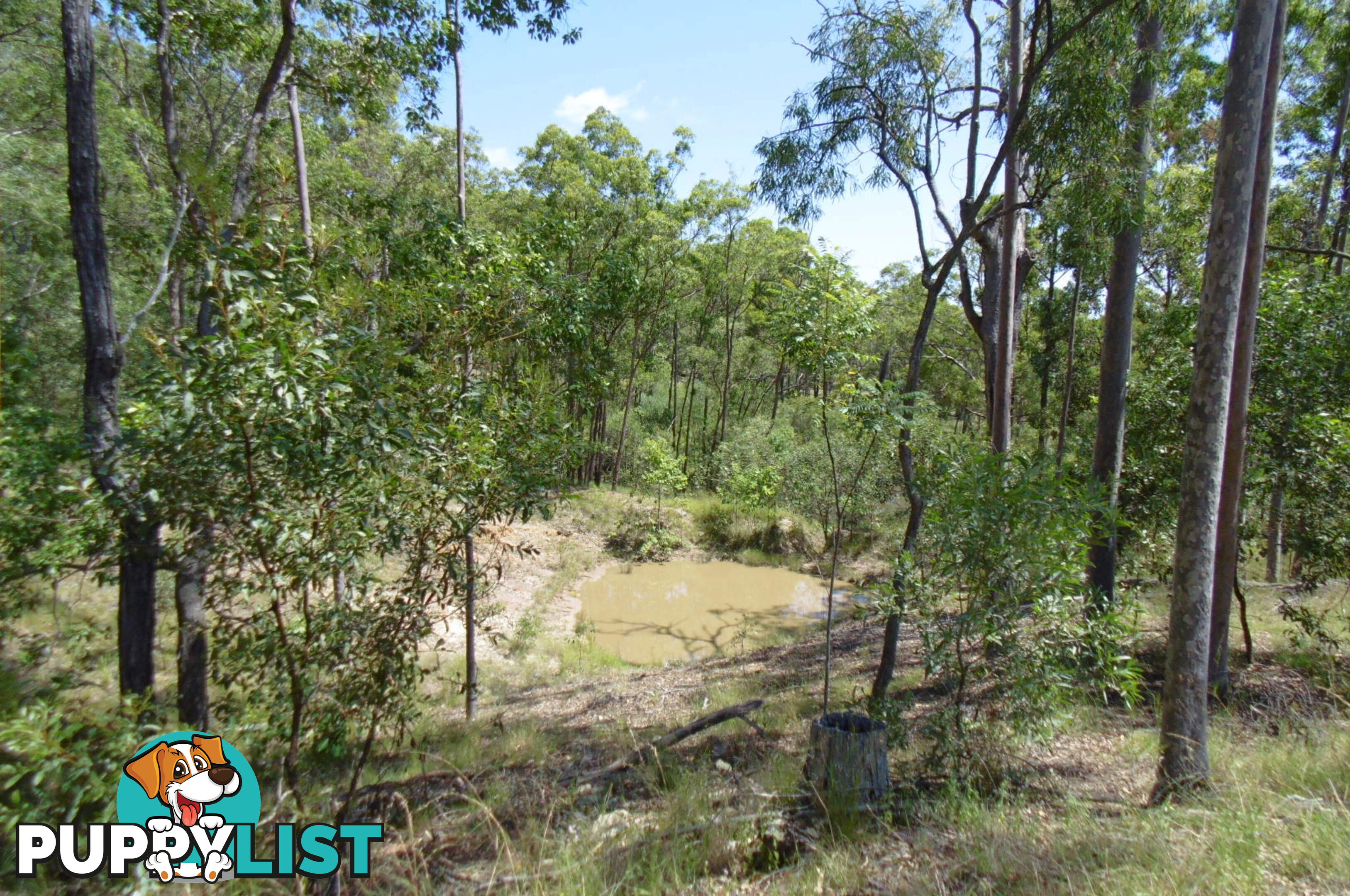 56 Chappell Hills Rd South Isis QLD 4660