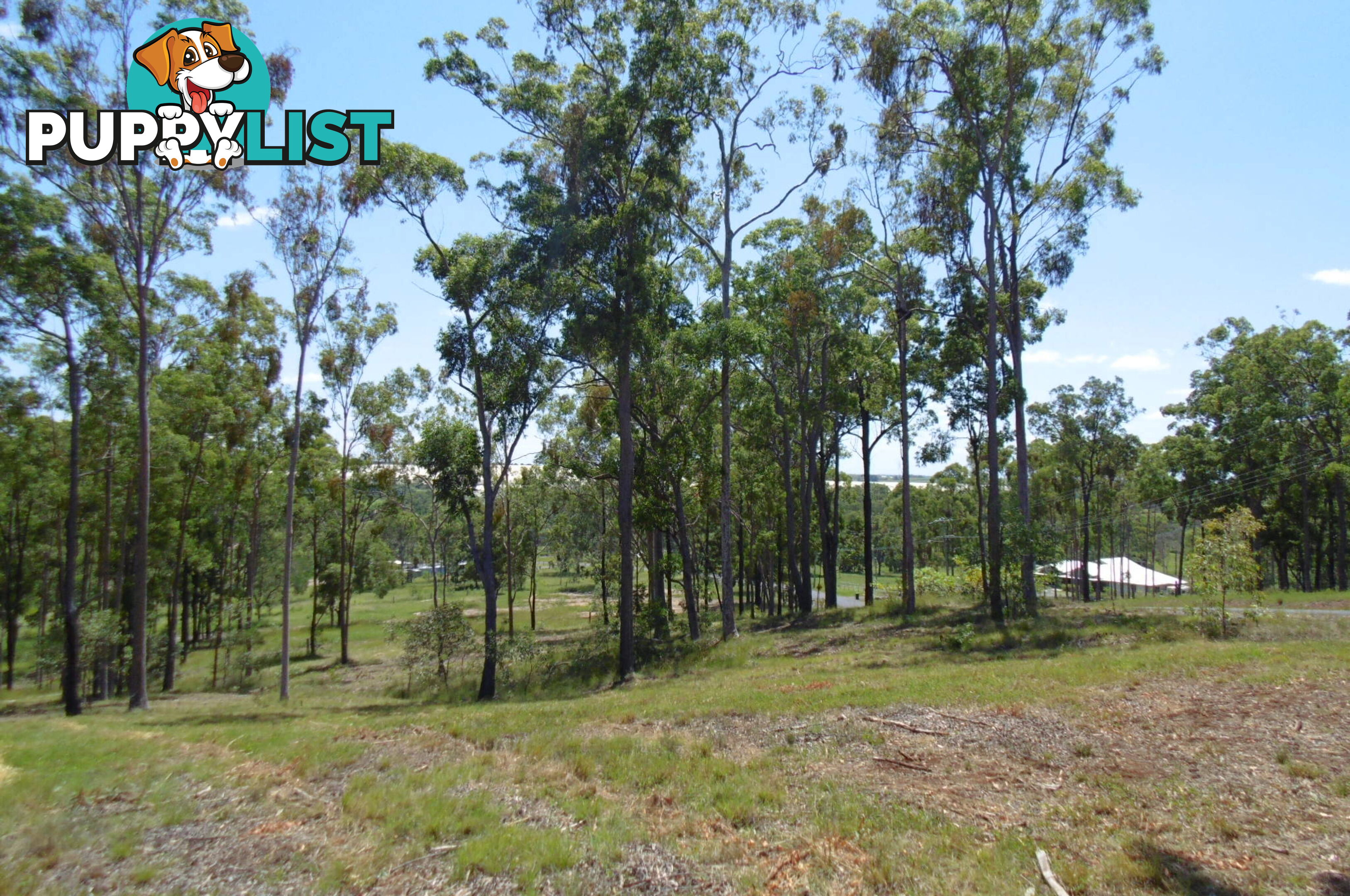 56 Chappell Hills Rd South Isis QLD 4660