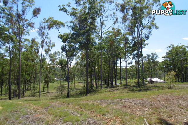 56 Chappell Hills Rd South Isis QLD 4660