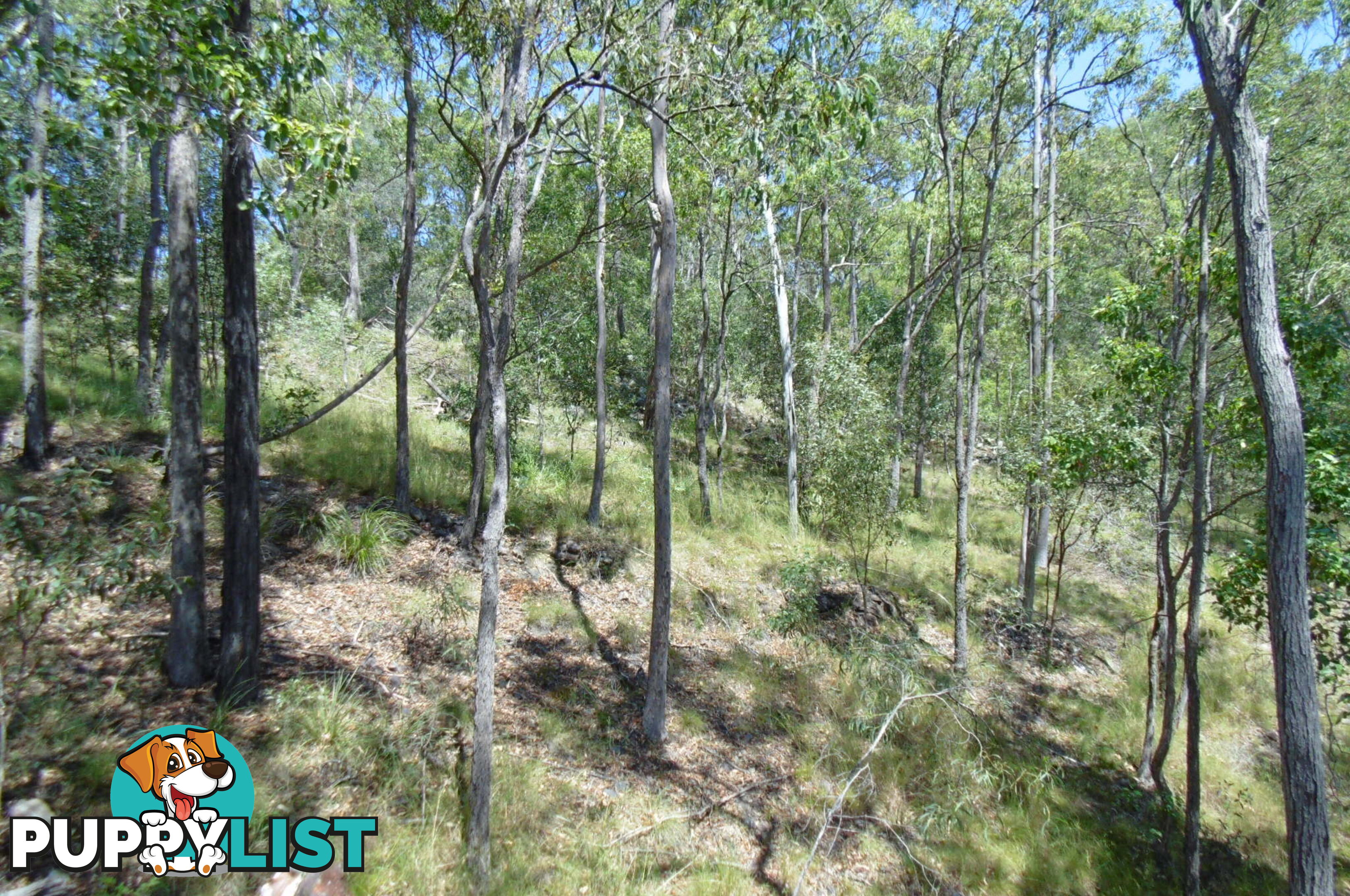 56 Chappell Hills Rd South Isis QLD 4660