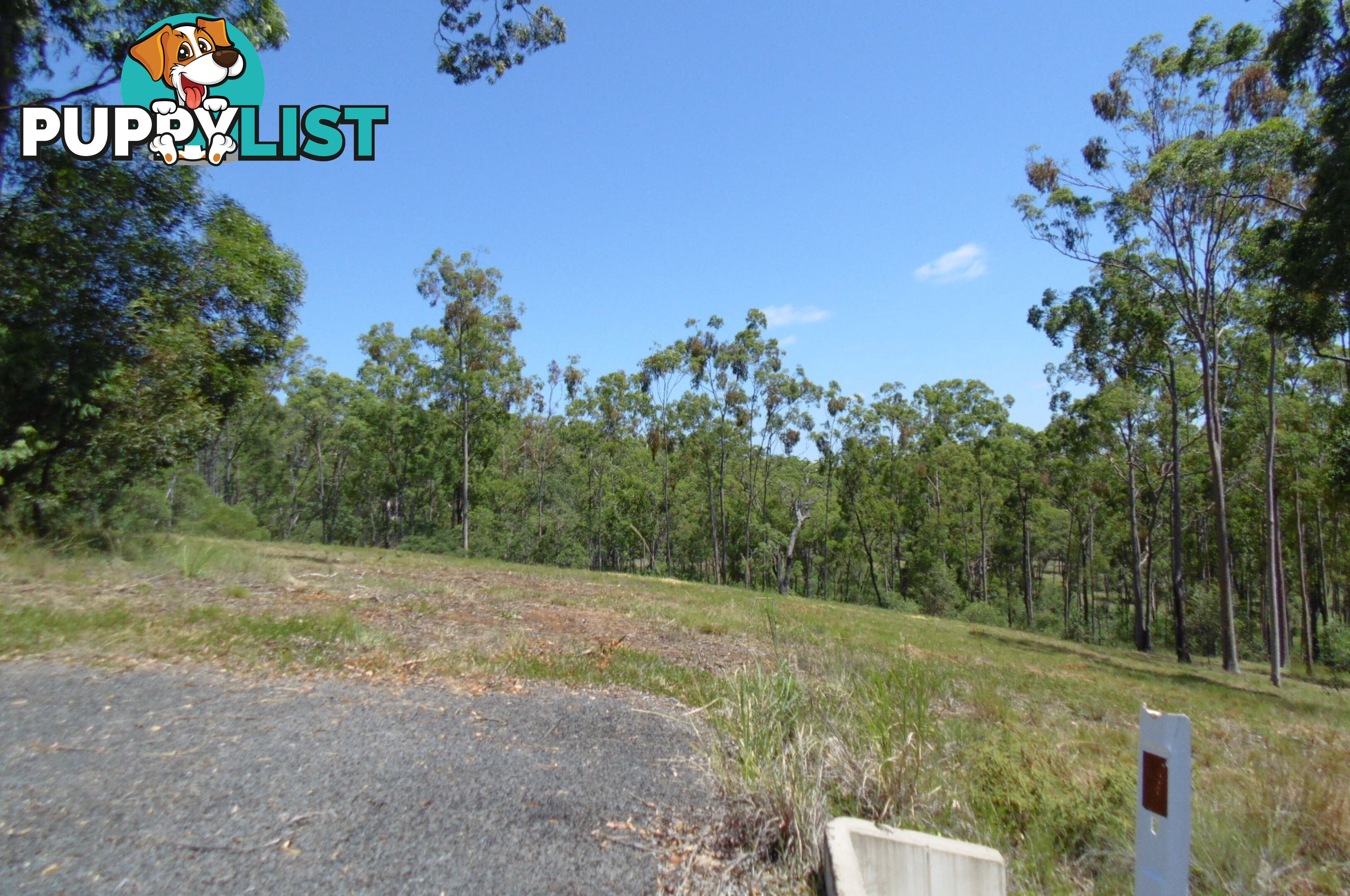 56 Chappell Hills Rd South Isis QLD 4660