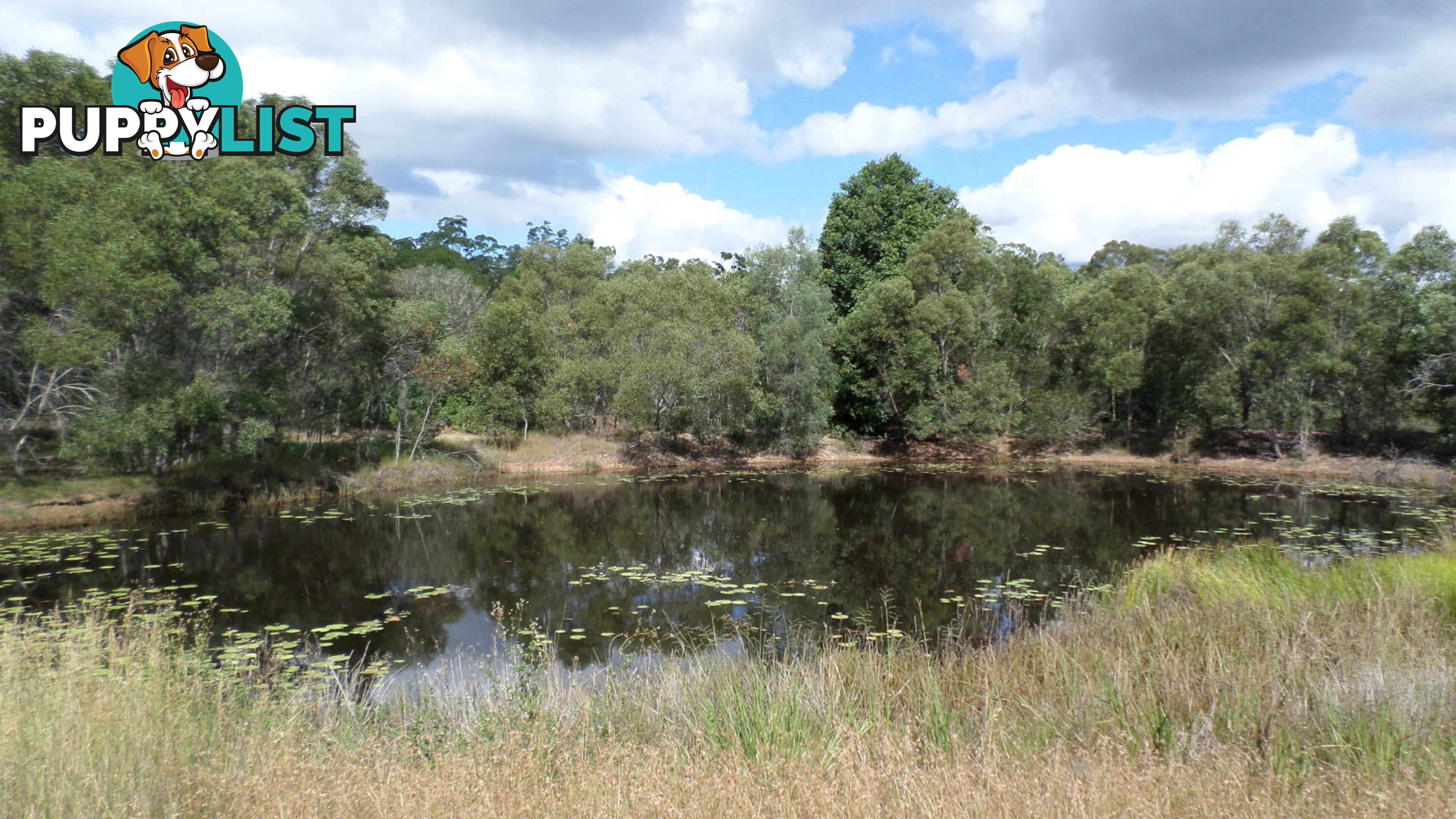 216 Rainbows Road South Isis QLD 4660