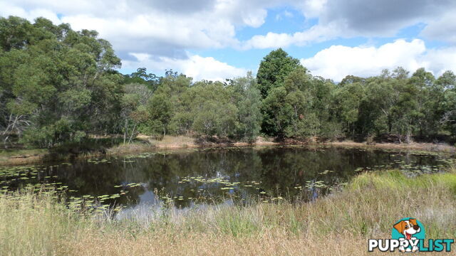 216 Rainbows Road South Isis QLD 4660