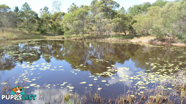 216 Rainbows Road South Isis QLD 4660