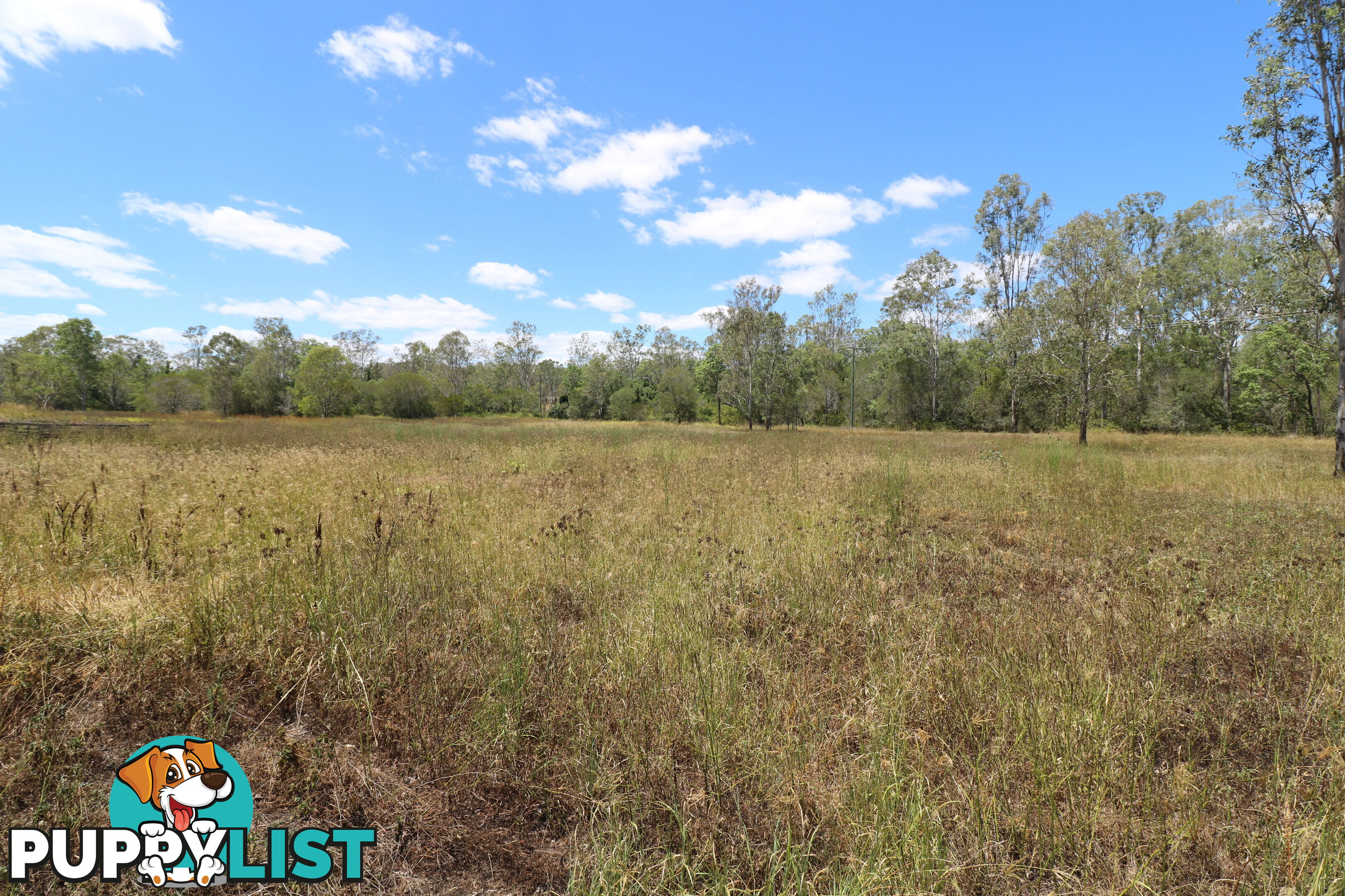 10 Misty Gums Dr Apple Tree Creek QLD 4660