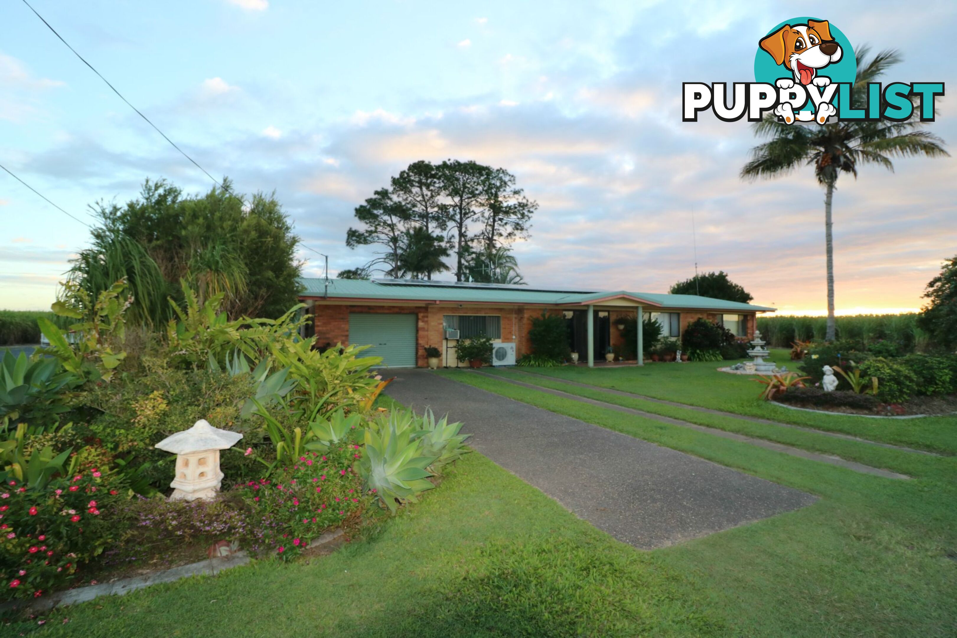 453 Lindemans Road Moore Park Beach QLD 4670