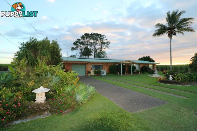 453 Lindemans Road Moore Park Beach QLD 4670