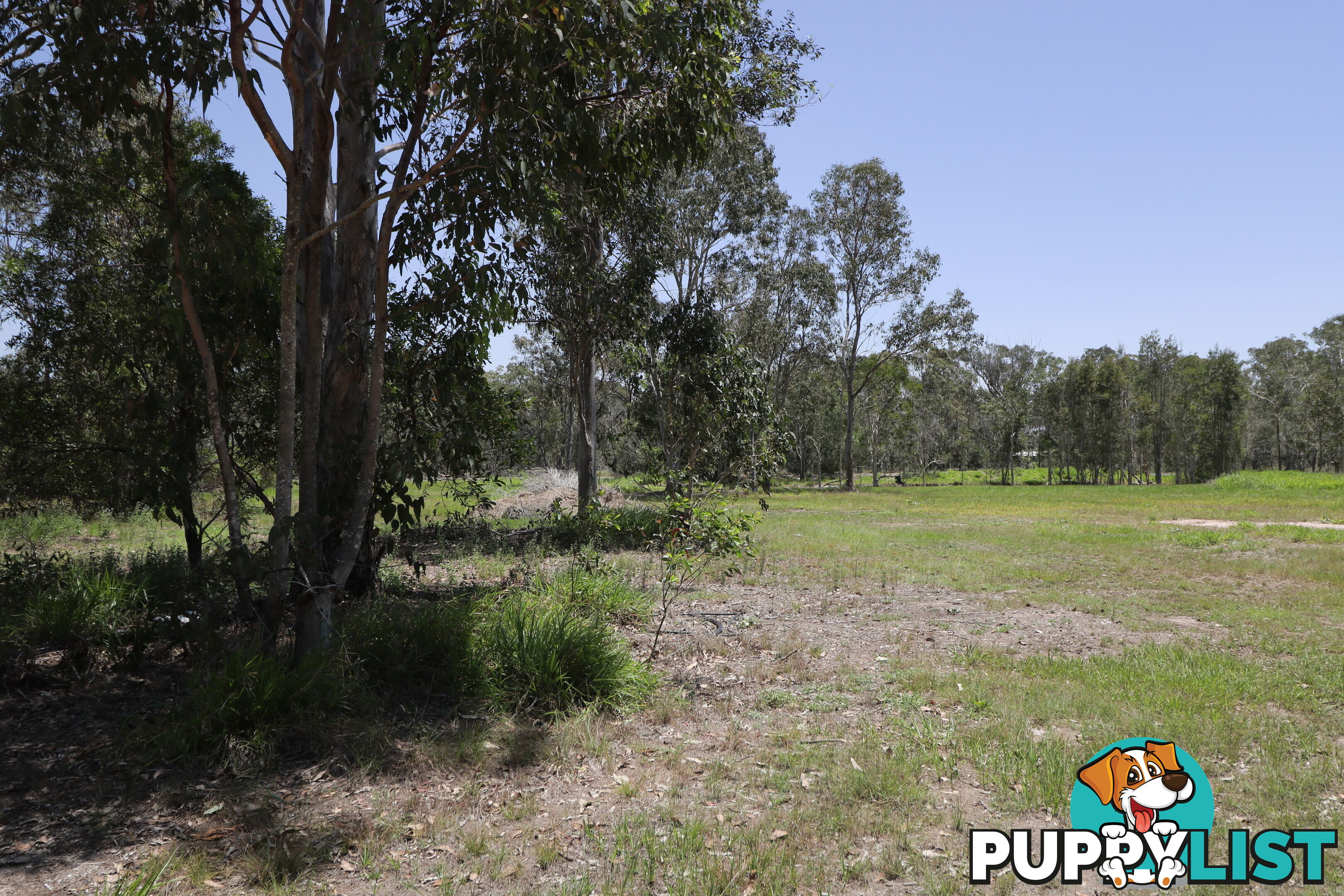 1542 Buxton Rd Buxton QLD 4660