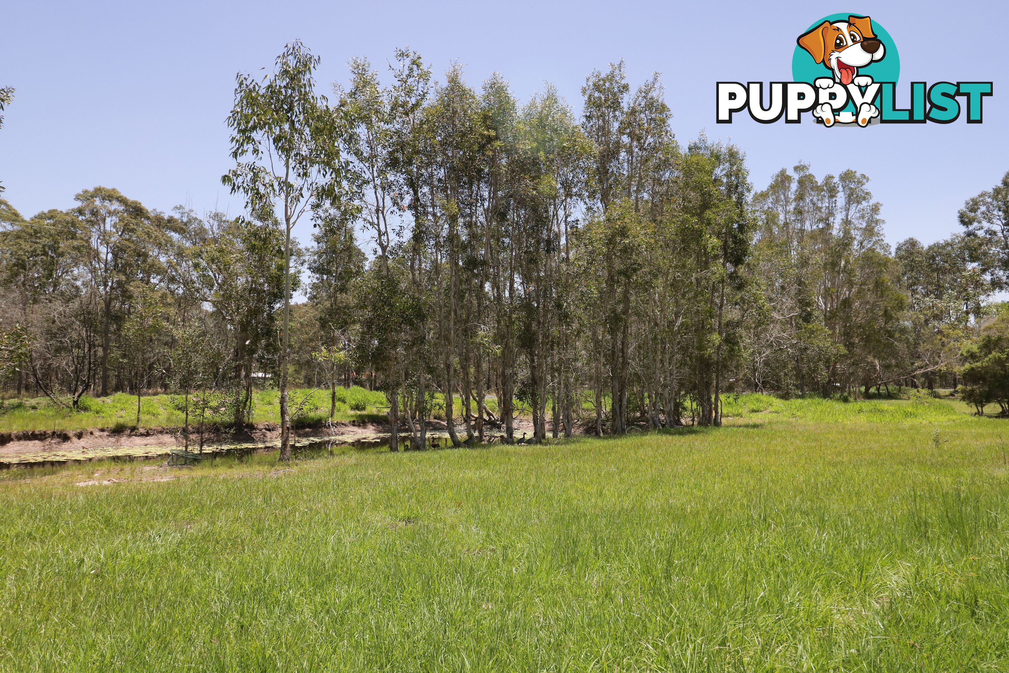 1542 Buxton Rd Buxton QLD 4660