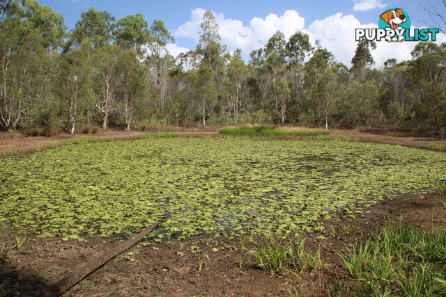 26 Larsens Rd Isis Central QLD 4660