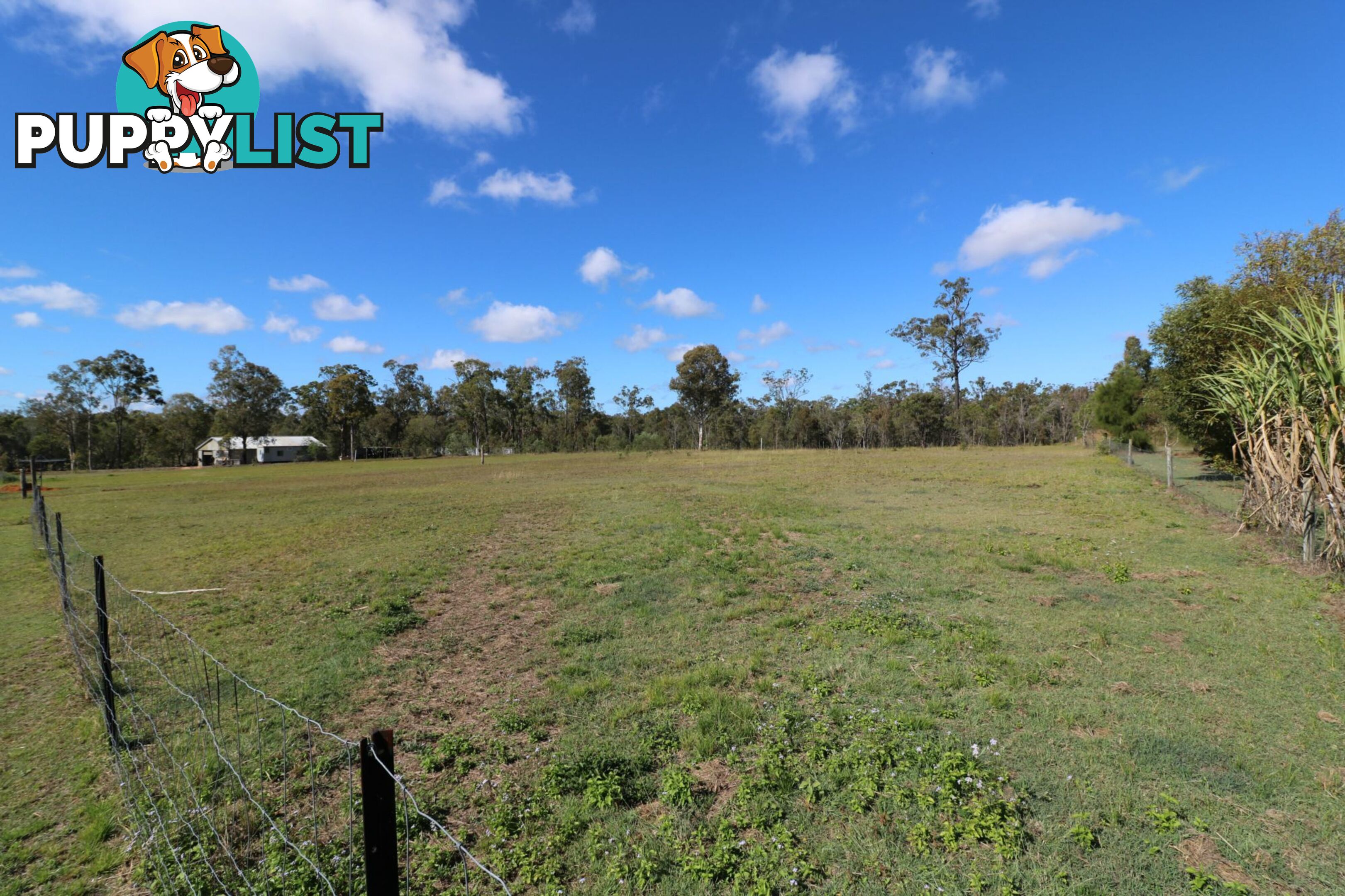 24 Flynn Drive Redridge QLD 4660