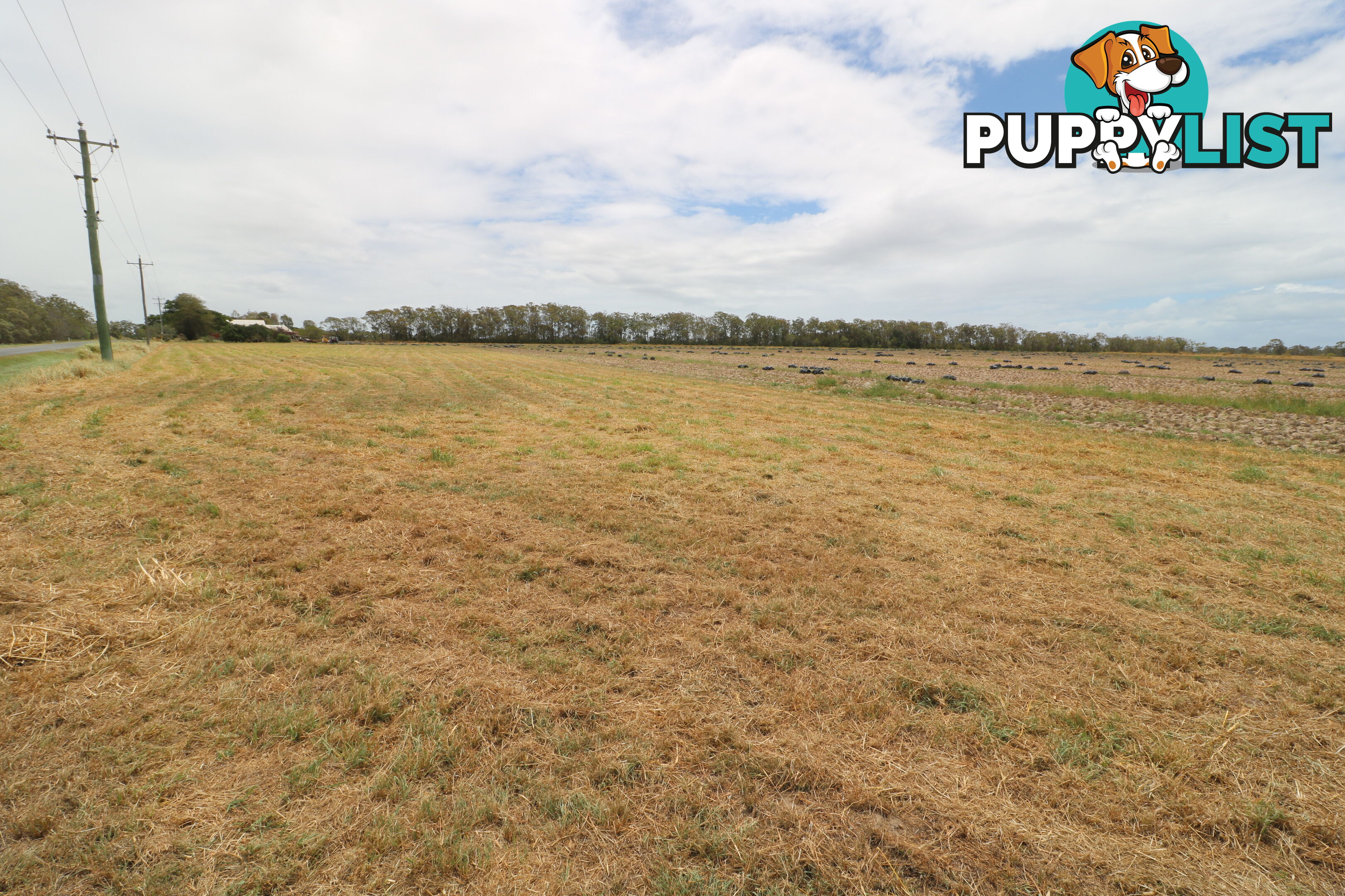 LOT 3 Dr Mays Crossing Rd Calavos QLD 4670