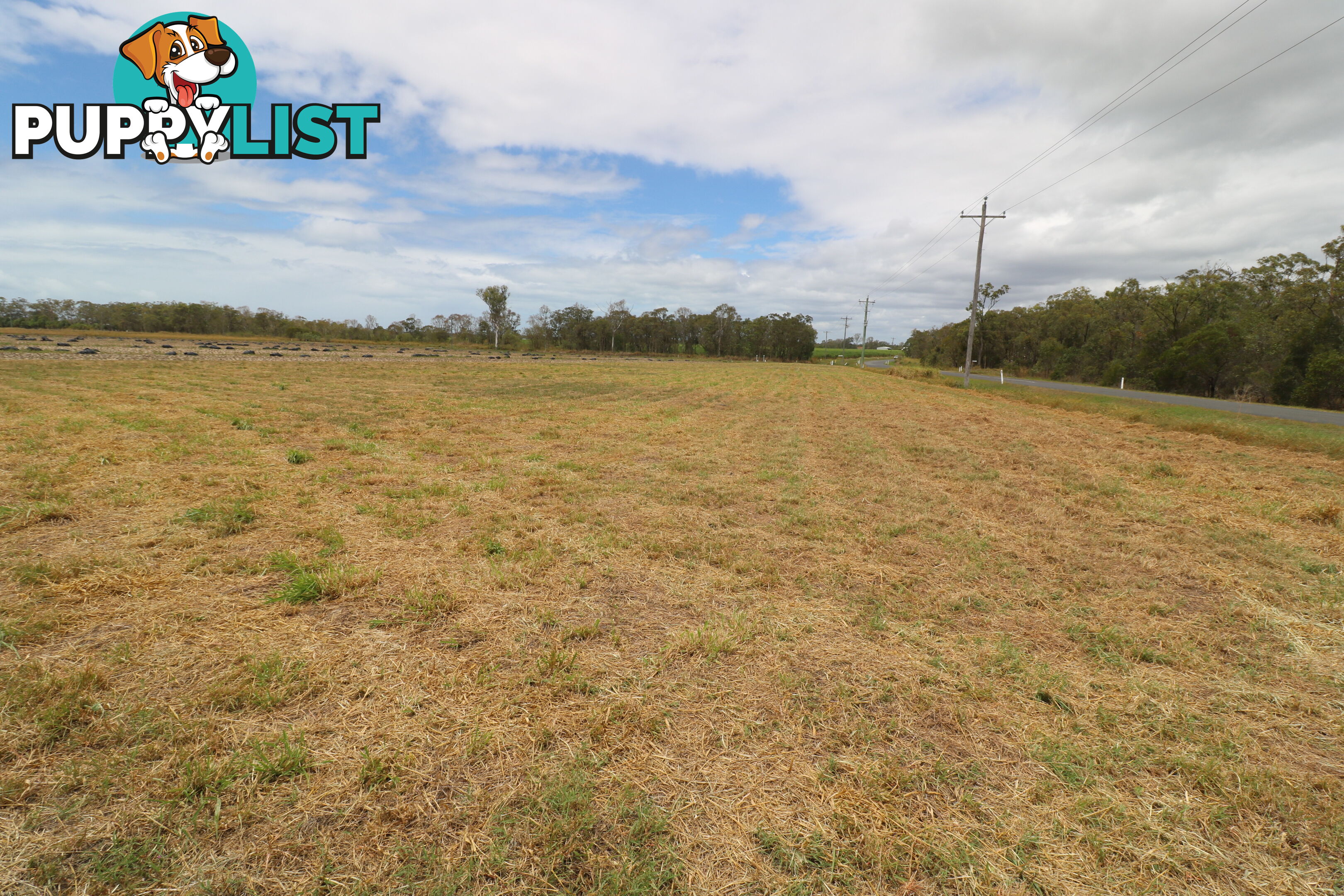 LOT 3 Dr Mays Crossing Rd Calavos QLD 4670