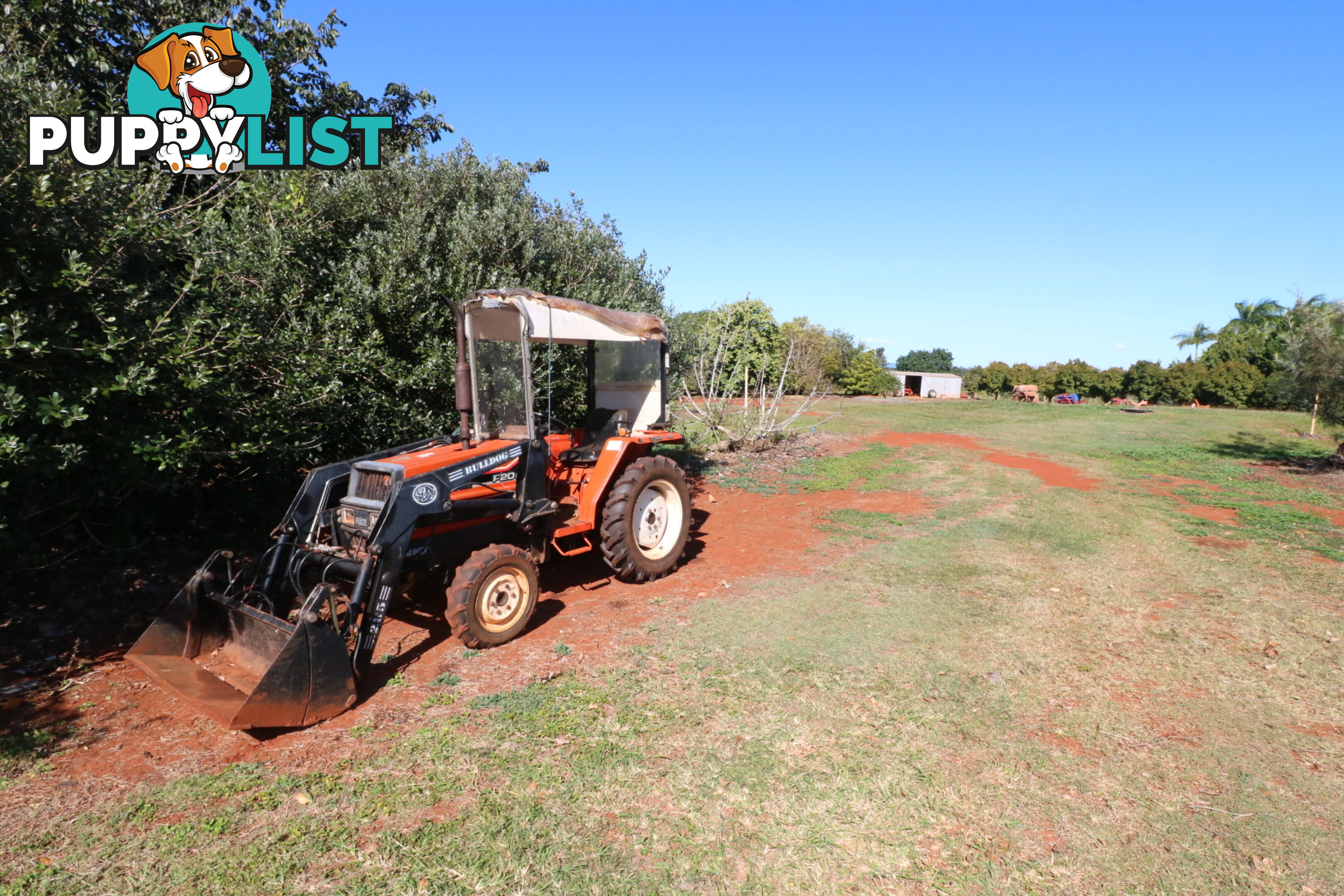 1 Cottonwood Cl Doolbi QLD 4660