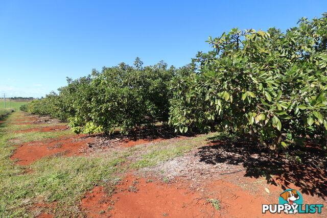 1 Cottonwood Cl Doolbi QLD 4660