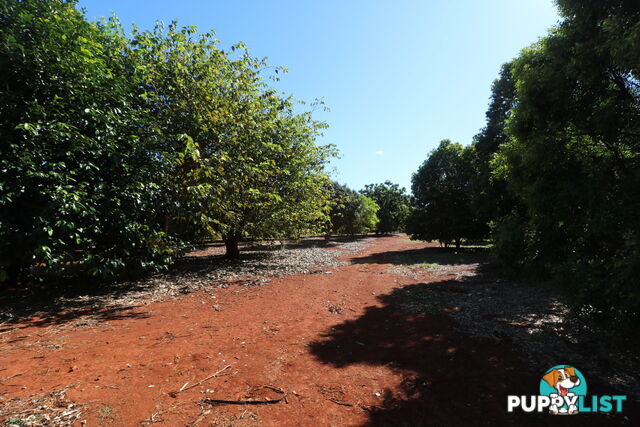 1 Cottonwood Cl Doolbi QLD 4660