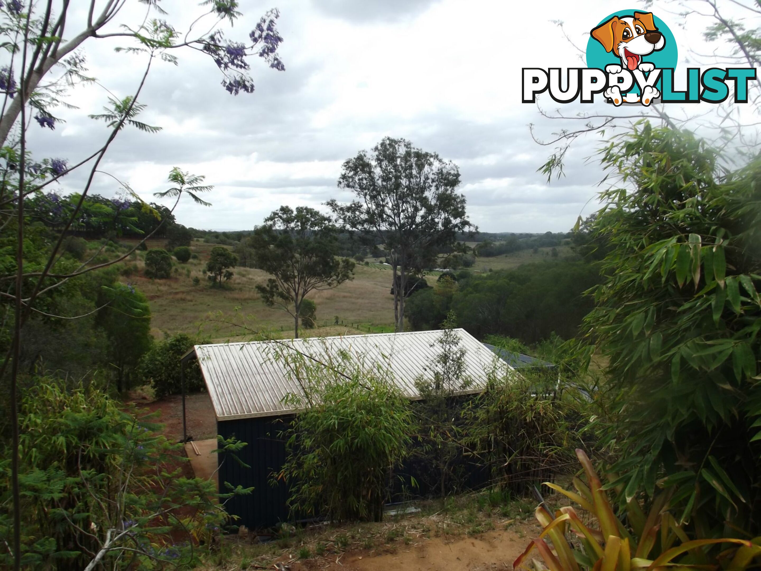 19 Old Creek Road Childers QLD 4660