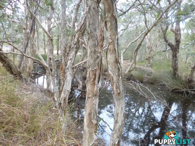 Lot 6 Blue Gum Dr Redridge QLD 4660