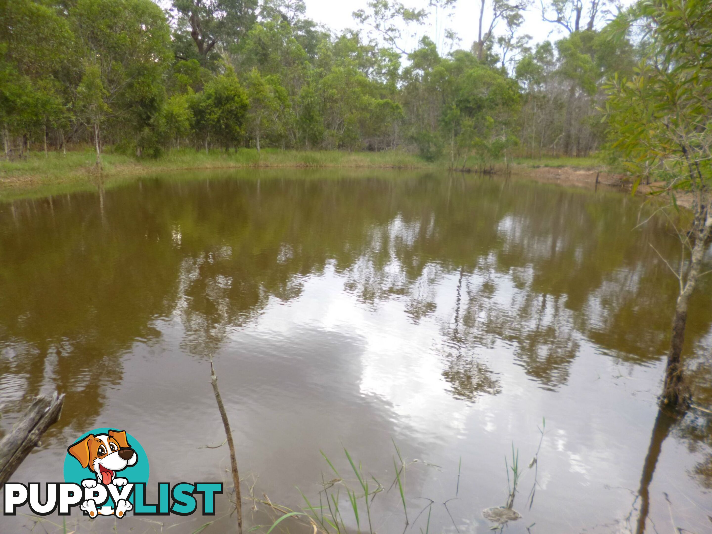 Lot 6 Blue Gum Dr Redridge QLD 4660