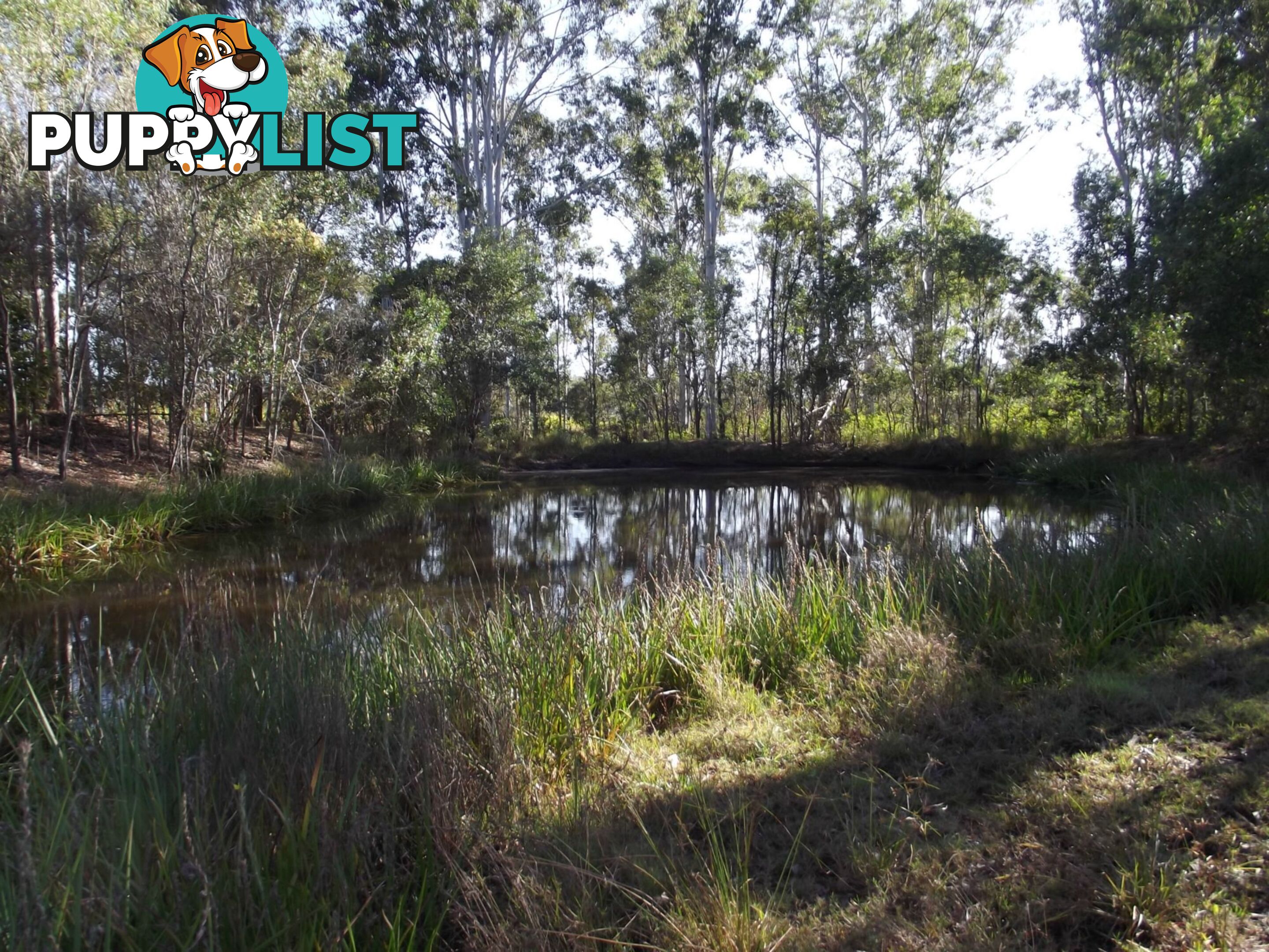 106 Hatchery Road Abington QLD 4660