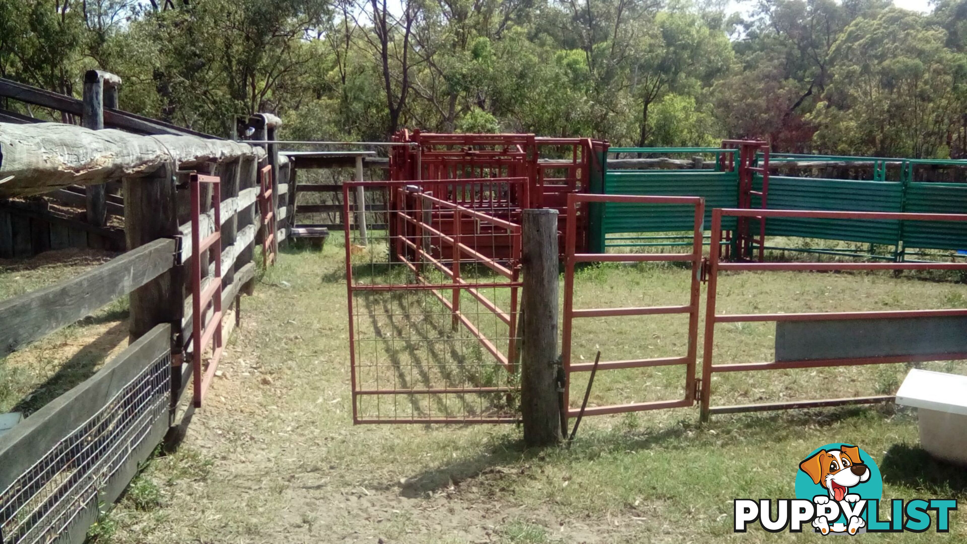 510 Promisedland Road Promisedland QLD 4660