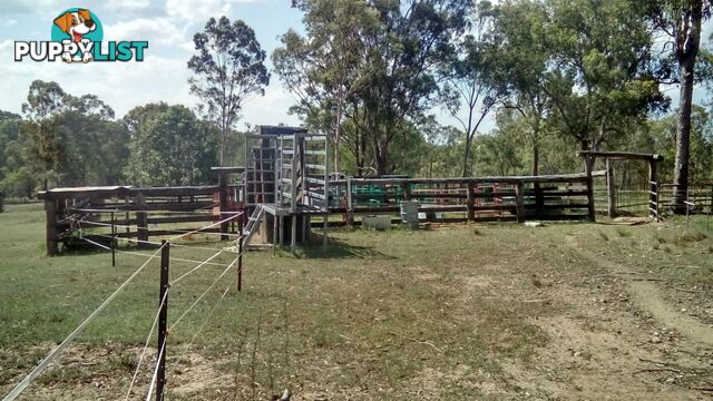 510 Promisedland Road Promisedland QLD 4660