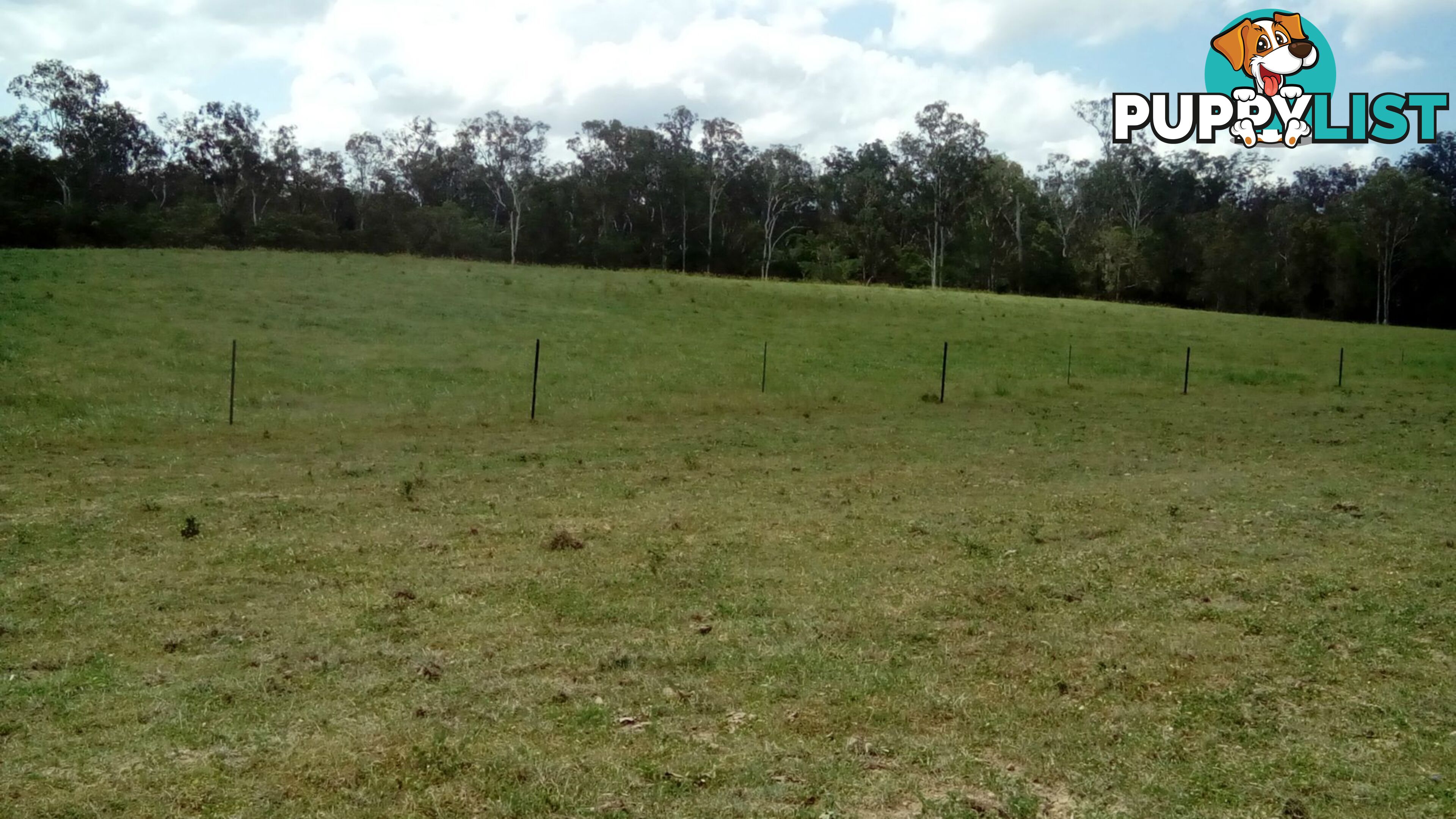 510 Promisedland Road Promisedland QLD 4660